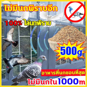 ยาเบื่อนกพิราบกำจัดพิราบและนกทุกชนิด เหยื่อกำจัดนก ยาฆ่านกพิราบ500gกรัม ยากำจัดนกพิราบ ทำลายอวัยวะภายในตายใน 1วัน ยาเบื่อนกพิราบ แห้งเร็วและไม่มีกลิ่น กินง่ายตายไว ชนิดไม่ต้องผสมอาหาร เห็นผลชัวร์100%ไม่มีนกรบกวน ไล่นกพิราบถาวร ยาไล่นกพิราบ