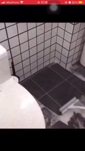 HOT Chổi chà sàn thông minh 2 mặt cán inox dài không cần khom cúi chà cực sạch Cây chà sàn nhà tắm nhà vệ sinh cán dài có lông chổi kép cả cứng và mềm giúp bạn dễ dàng loại bỏ những vết bẩn cứng đầu nhất