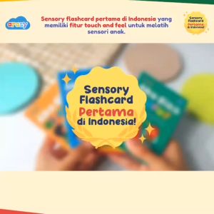 Family Sensory Flashcard Aku Bisa Semua Arasy - Flashcard - Bundling - satuan - Flashcard Anak Super Lengkap