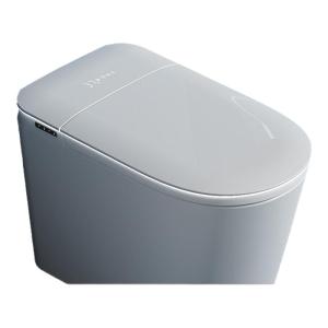 Smart Voice Control Foaming Instant Heating Automatic Toilet