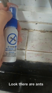 ANT SPRAY POISON by G-UARD - Colony Killer Formula [NEXT DAY SHIPPING] (蚂蚁/Semut/எறும்பு)