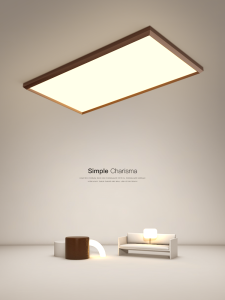 Modern Creative Suction Ceiling Light