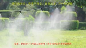 Combo 10/20 Đầu Béc Phun Sương Đơn Xám Nối Lỗ 6mm