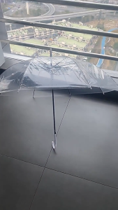 Transparent Umbrella Long Handled Umbrella Rainproof/Windproof Automatic Umbrella Stylish Appearance Payung Opening And Closing Design Meets Daily Use