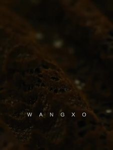 WANGXO | Đầm Xòe Đuôi Cá V-neck Kết Hợp Ren Pháp