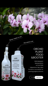 กล้วยไม้ ปุ๋ยกล้วยไม้ อาหารบำรุงกล้วยไม้ เร่งดอก ดอกสวยสดใส กลีบดอกแข็งแรง