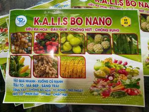 Phân bón kali bo nano gói 50gr ra hoa ra quả đồng loạt hạn chế nứt rụngtrái to mã đẹp sáng trái dùng cho cây hoa cây cảnh  cây ăn quả