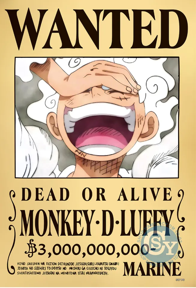 one piece wanted –