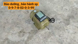 Mô tơ điện - động cơ điện 15hp (2900v/p)