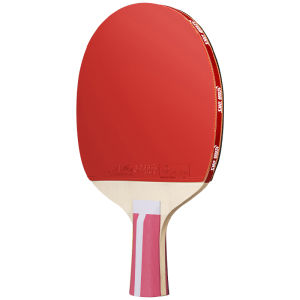 DHS | Professional Competition 4-5 Star Children Table Tennis Racket