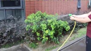 Paketan Selang Air Berkualitas Tinggi 10 Sampai 30 Meter 1/2 5/8 3/4 Inch Semprotan Air 7 Variasi Dengan Selang Air Elastis DOP Selang Cuci Mobil Siram Tanaman Selang Elastis