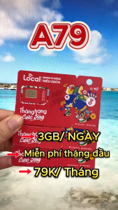 Sim Local A79 Miễn Phí Tháng Đầu Dùng Mạng Tốc Độ Cao 90GB/Tháng ( 3GB/ngày) Sóng Mobifone Phủ Sóng Toàn Quốc | FREESHIP - CHƯA KÍCH HOẠT