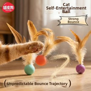 hipidog | Interactive Feather Cat Teaser Pet Toy Anti-Boredom