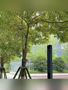 Big Sales 12PCS Disposable Raincoat With Headgear Adult Waterproof Raincoat Emergency Travel Disposable Free Shipping Cod