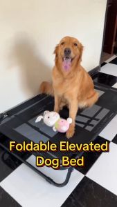 Foldable Large Elevated Pet Dog Bed: Breathable & Comfortable Solution