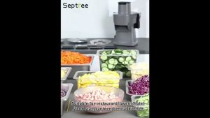 Máy thái rau củ quả đa năng thái lát thái sợi thái hạt lựu. Thương hiệu Mỹ cao cấp Septree GJ817 (BH 1 NĂM)