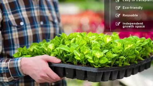 【ของแท้จากบริษัท100%】ถาดเพาะกล้า ถาดเพาะปลูก ถาดเพาะชำ ถาดปลูกต้นไม้ ถาดเพาะต้นกล้า ถาดปลูก ถาดเพาะเมล็ด ถาดเพาะผัก รุ่น แพ็ค การันตีคุณภาพ จาก หนามาก ยืดหยุน