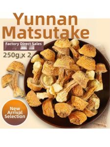 Dried Fresh Non-sulphured Matsutake Yunnan Specialty Soup Ingredient