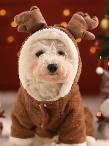 Dog Christmas Pet Supplies Clothes Teddy Cotton Clothes Autumn Winter Elk Cat Dog Clothes