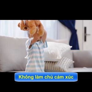 Sữa công thức hạt thực vật hữu cơ MIWAKO A+ (700g x 1 hộp)