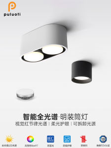 Prothim Double Head Box Lamp round Passage Balcony Living Room LED Downlight Surface Mounted Smart Voice Control APP Control