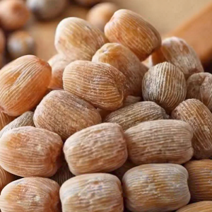 WENXIANGZAN | High Grade Seedless Xinjiang Dates