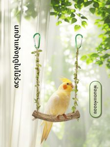 VOA | Parrot Cage Accessories with Swing Scratching Climbing and Standing Rods