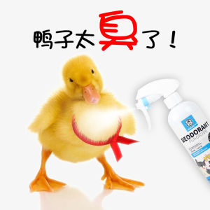 Pet Duck Odor Eliminating Spray & Disinfection for Chicken: A Comprehensive Guide