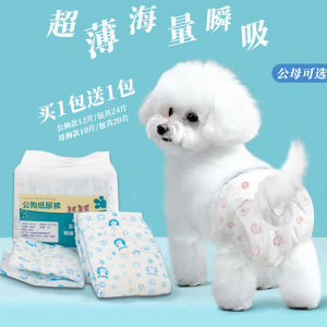 Dog Baby Diapers & Special Sanitary Napkins: A Guide for Pet Owners