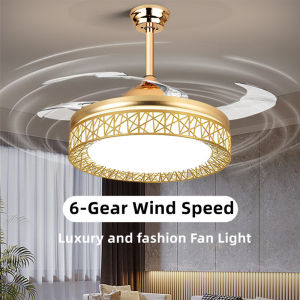 Modern Fan Chandeliers & LED Ceiling Fans: A Comprehensive Guide