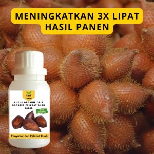 Pupuk Salak Cepat Berbuah / Pupuk Pelebat Buah Salak / Pupuk Booster Salak Cair