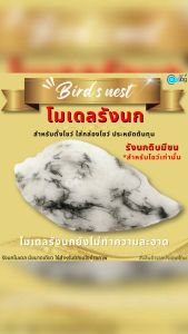 โมเดลรังนก สำหรับโชว์เท่านั้น รังนกจำลอง แบบยังไม่ทำความสะอาด 1แพ็ค10ชิ้น รังนก รังนกโมเดล - Lazada