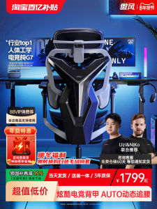 Ergonomic Gaming Chair LPL Competition Grade Mesh Computer Desk Chair Support Lumbar And Footrest Adjustable for Long Sitting