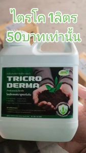 ไตรโคเดอร์มา เชื้อสด ชนิดน้ํา ขนาด 1 ลิตร ควบคุมโรค เชื้อรา ราก โคนเน่า ใบหงิก แคงเกอร ใบจุด ชีวภาพ ไม้ด่าง Trichoderma