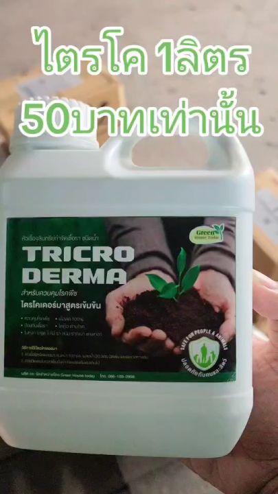 10 อันดับ ไตรโคเดอร์มา ยี่ห้อไหนดี? อัปเดตปี 2026 สำหรับสวนสวยไร้โรค