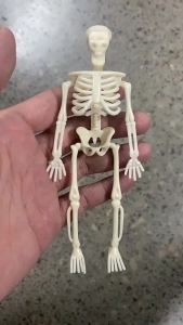6/12PCS Mini Skeleton Figurines Small Skeletons Halloween Decorations for Craft Haunted House Accessories Party Favors 6 Inch