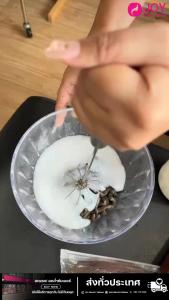 ไม้ตีสี แค่กดๆสีก้อฟู ไม่เปลืองแรง กึ่งอัตโนมัติ เหมาะสำหรับผสมเคมี ไม้สแตนเลสอย่างดี