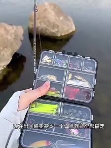 EELHOE | Fishing Tackle Storage Box Double Sided Portable 1Pcs Compact Holder for Lures Baits Hooks Professional Fishing Use