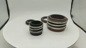 Phớt bơm nước Bơm dầu lò so lùn Phớt chắn nước KSB MG1 109 loại cao cấp dùng cho máy công xuất lớn