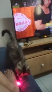 [COD/Ready Stock] Green/Red l-aser sight USB rechargeable 303 light pen 532nm high power l-aser pen fast charging