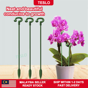 【TESLO】🔥Malaysia In Stock🔥 flower stand holder bracket garden bonsai orchid phalaenopsis fleshy shaped plant stand support stick rod frame single stem shrub holder stander 蝴蝶兰花支架