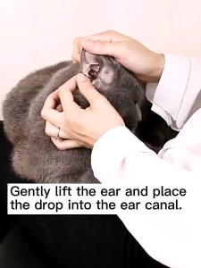 Pet Ear Drops For Eliminate Ear Mites Treating Ear Canal Odor Pus And Itching For Dogs & Cat