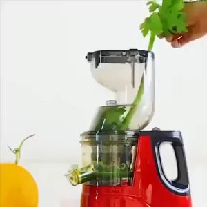 Máy Ép Chậm Hoa Quả Hongxin RH-312-Máy Ép Trái Cây Giữ 98% Lượng NướcTặng Kèm 2 Cốc Đựng-Bảo Hành 12 Tháng .Máy ép chậm hoa quả Hongxing RH-312 ép rau củ hoa quả máy ép chậm trái cây - Bảo hành 12 tháng .