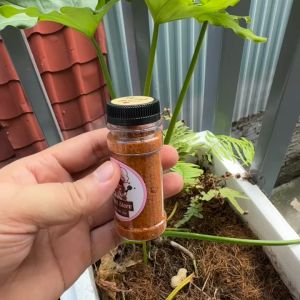 Bột gia vị Cajun 20g - dùng cho nước sốt mỳ ống rau xào