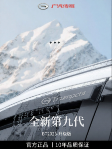 HANNENGDA | Rain Visor for GAC Trumpchi GS3 Yingsu