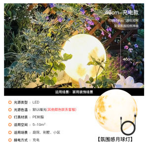 Solar Powered Moon Lamp Outdoor Waterproof Garden Villa Courtyard Atmosphere Lighting Lamp Modern Simple Intelligent Control LED Light