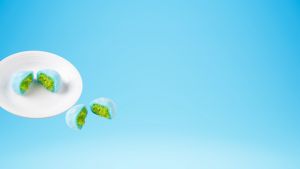 ไดฟูกุแม่สวิง เพื่อนเล่น ด้วย ไส้มะพร้าวใบเตย - ชิ้นละ 38 กรัม หวานน้อย อร่อยเต็มคำ