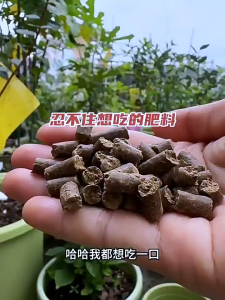 Plant Organic Fertilizer - Fermented Sesame Cake Fertilizer for Vegetable/Flower Rooting Seedlings Improving Soil and Yellow Leaves