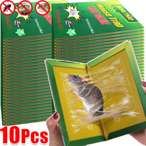 10Pcs Large Super Strong Mouse Sticky / Thickened Durable Mouse Sticky Board Bait / Non-Toxic Safety Mice Rodent Glue Board / Multipurpose Insect Bait Traps for Rat Snake Cockroach