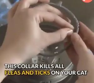 Pet Repellent Collar Retractable Adjustable Flea And Tick Collar Insect Repellent Dogs Cats Collar Pet Supplies